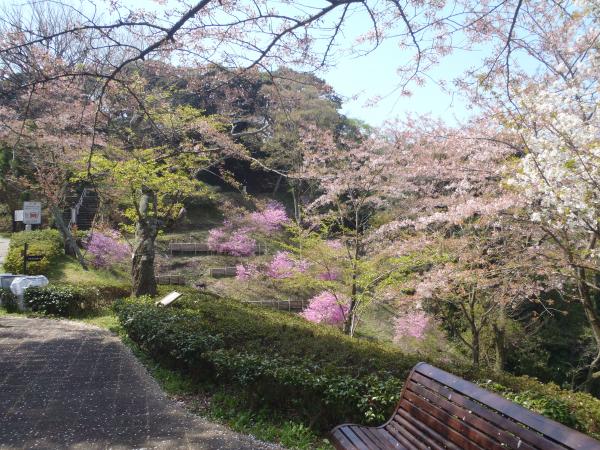 塚山公園はきれいです